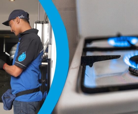 Solane Helps You Get Your Kitchen in Order